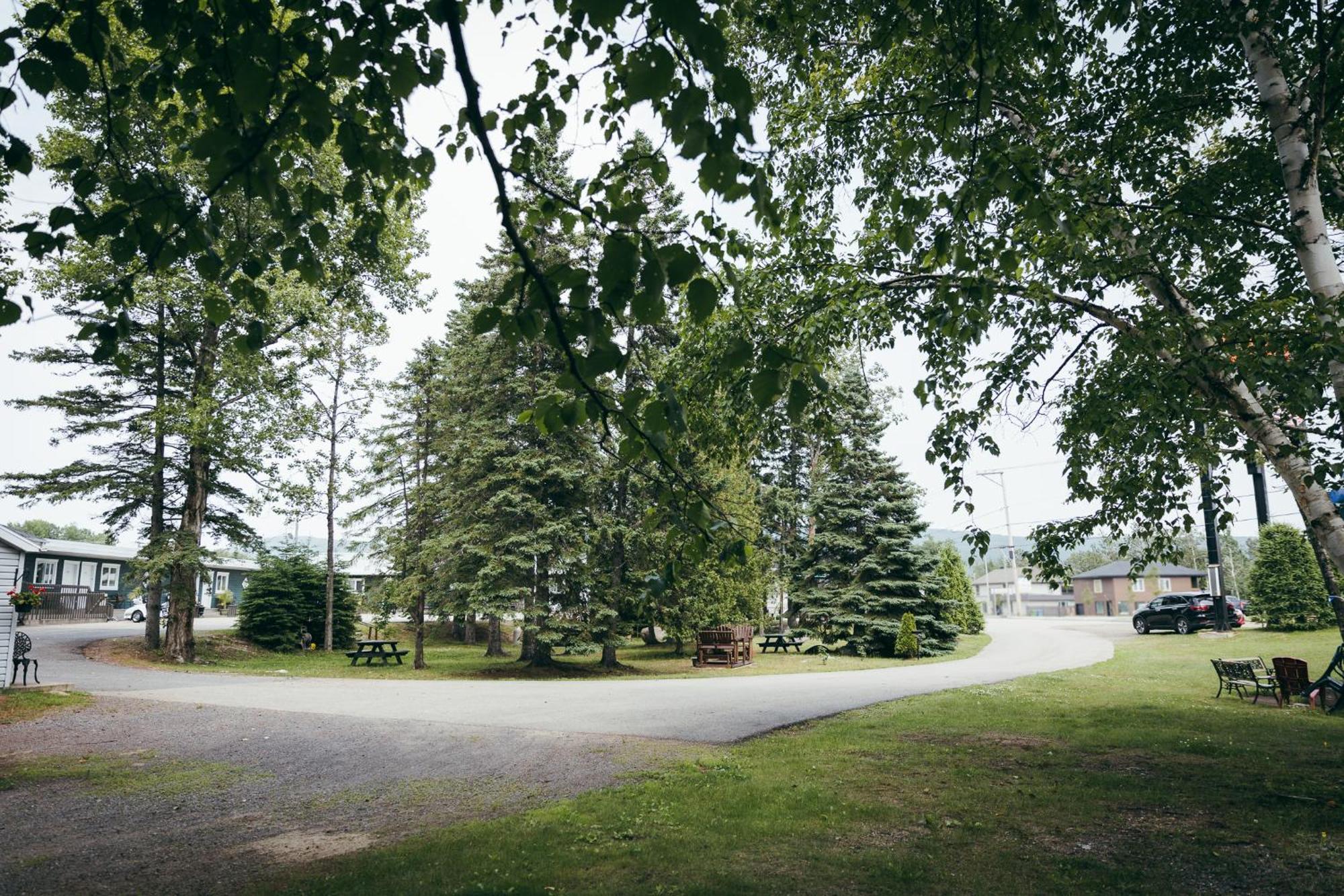 Motel Des Cascades Baie-Saint-Paul Exterior foto
